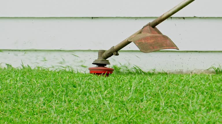 Best Arborist Consultation Services  in High Rolls, NM