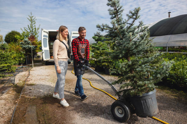 Best Lawn Irrigation Installation and Maintenance  in High Rolls, NM
